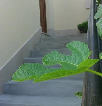 Apartment Lux Cavtat